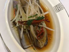 油泼特大蛏子-开海·红岛海鲜虾水饺(石老人店)