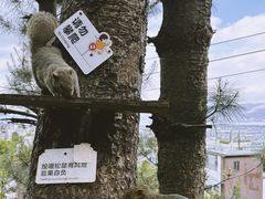 -大理苍山石门关旅游度假区