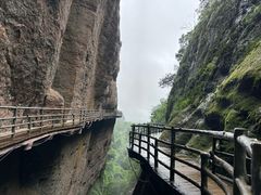 -江西龙虎山景区