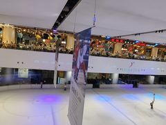 -TheRink大零溜冰场(IFS国金中心店)
