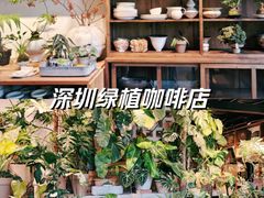 -自由生长植物工作室(深港花卉中心店)