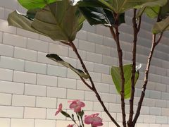 -一坐一忘云南菜(北京skp店)