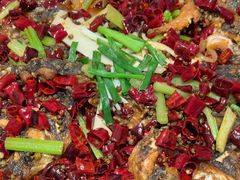 -老板恋上鱼(恒隆广场店)