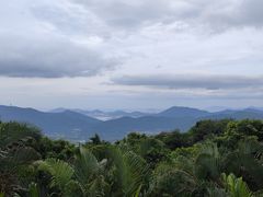 -亚龙湾热带天堂森林公园