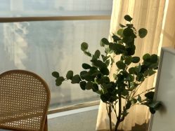 -Mo·Mo Nail 美甲美睫