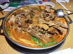 -雀舞云南菜(乐客城店)