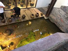 -几荷·恰似故人来(秀水广场店)
