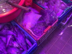 -芦潮港集贸市场