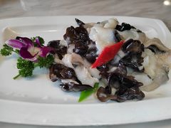 糟熘鱼片-華僑飯店中餐厅