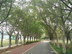 -南宁花花大世界景区