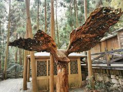 -雁荡山大龙湫景区