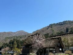 -白川乡与五箇山的合掌构造村落