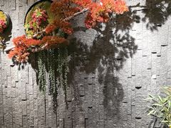 -龙宴海鲜城(经中路店)