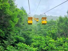 -白草畔自然风景区