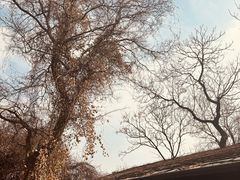 -盘龙城国家考古遗址公园