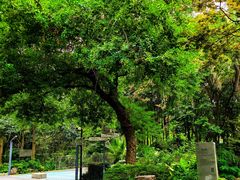 -苏州河梦清园环保主题公园