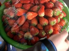 -江杨农产品批发市场