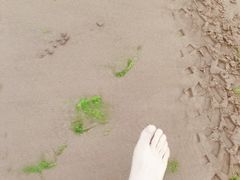 -青岛金沙滩