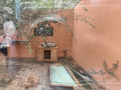 -青藏高原野生动物园