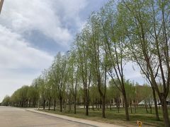 -亿利库布其七星湖沙漠生态旅游区