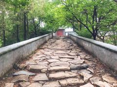 -阳台山自然风景区