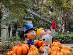 -史努比缤纷世界