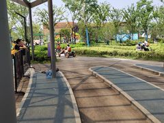 -季高兔窝窝亲子园(上海薰衣草公园店)