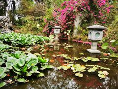 -深圳国际园林花卉博览园