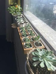 -HG美发设计沙龙