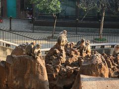 -昆明动物园
