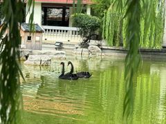 -舜耕山庄四时万和自助餐厅