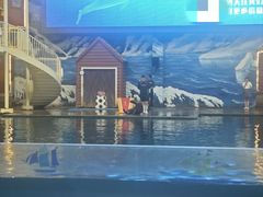 -西安曲江海洋极地公园