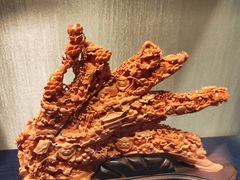 -绮丽珊瑚(台北101旗舰门市店)