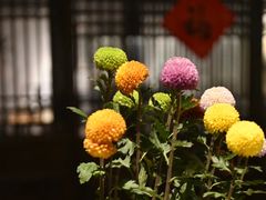 -德迹斋禅意文化茶馆·茶空间·商务洽谈•宴席(桃园店)