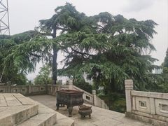 -龟山风景区-龟山电视塔