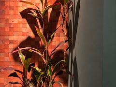 -星叶·东南亚料理(宁波万象汇店)