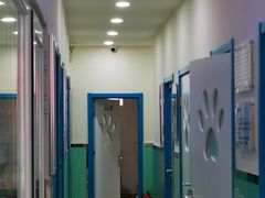 -全心全意连锁动物医院(石景山店)