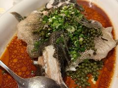 -顺德美的万豪酒店-万豪中餐厅