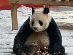 -杭州野生动物世界