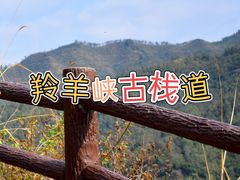 -羚羊峡古栈道森林公园