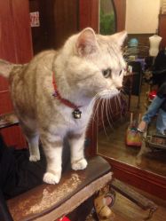 iphone_upload_pic-TWOFACE双面理发馆