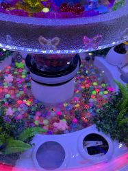 -莫莉幻想儿童乐园(长春迅驰广场店)