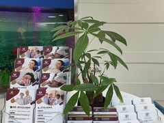 -雅悦齿科(顾村公园店)