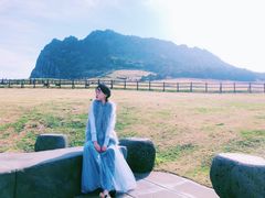 -涉地可支