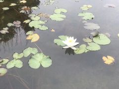 -满都海公园