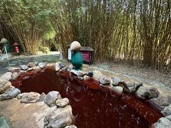 -森波拉火山温泉