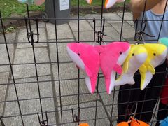 -奥冠体育恒温游泳馆(市少年宫店)