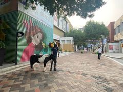 -中粮·祥云小镇