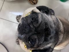 -双冰面馆(茶南店)