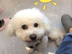 -熊小胖宠物生活馆(天华园店)